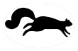 Black Squirrel 